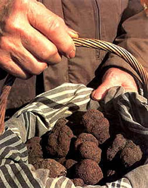Truffles